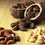 brazil nut benefits in hindi