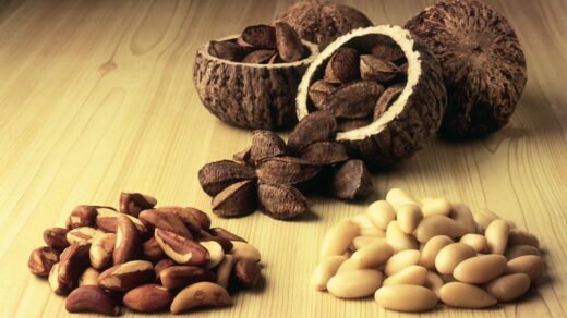 brazil nut benefits in hindi