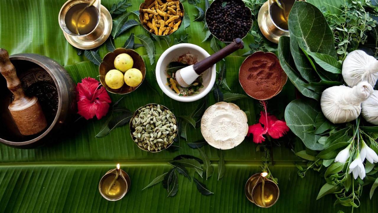 10 Powerful Ayurvedic Herbs With Their Great Benefits and Uses