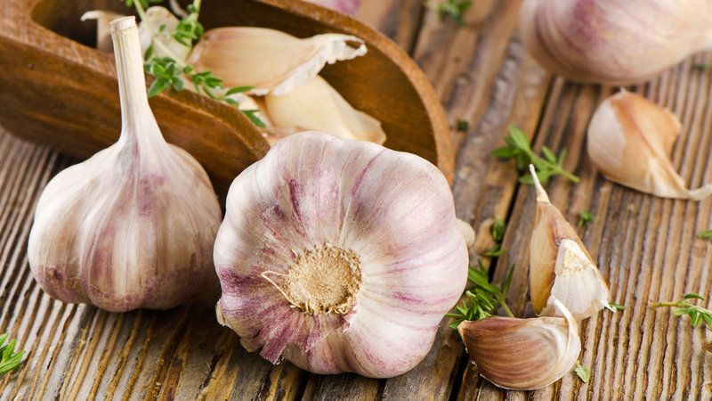 6 Reasons To Include Garlic In Your Diet