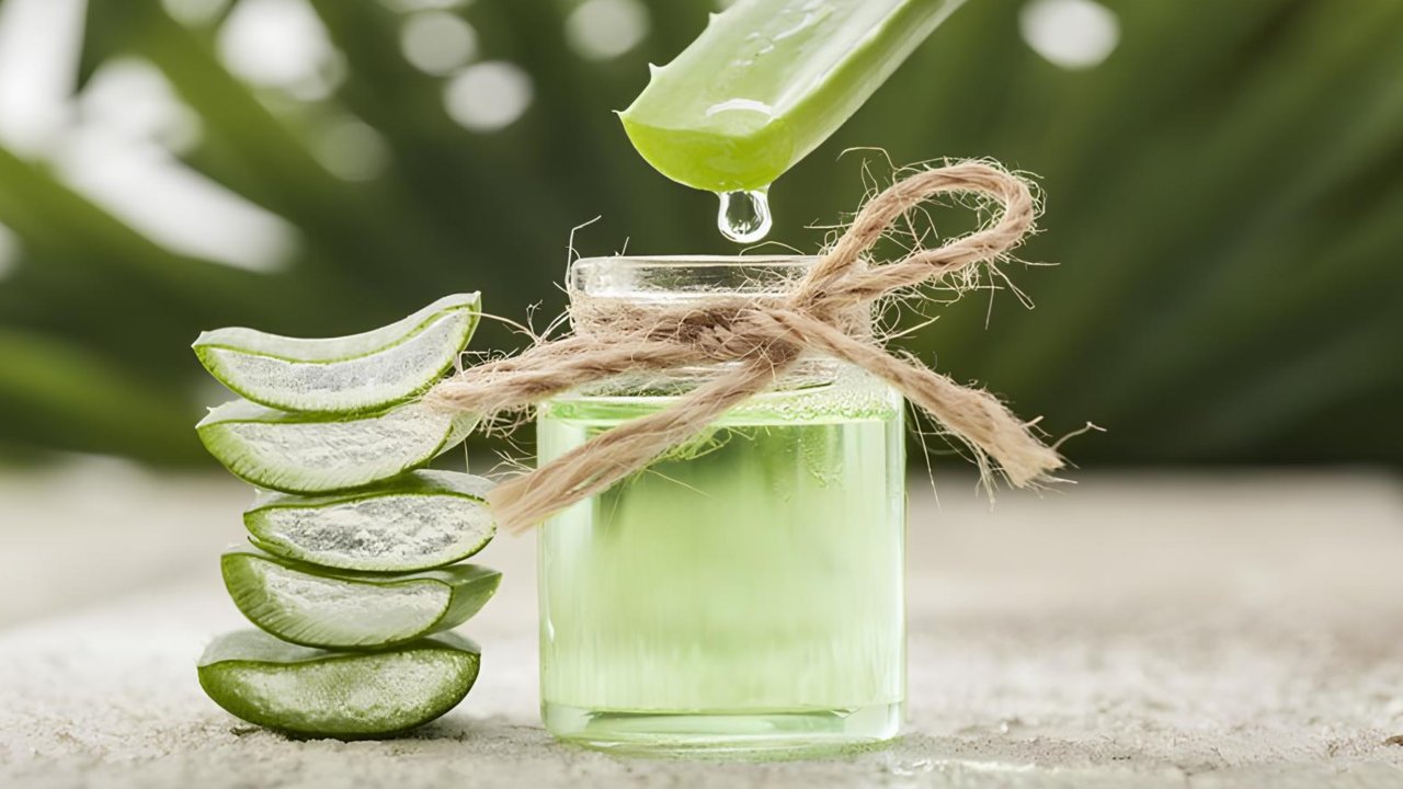 Aloe Vera Ayurvedic Benefits, Precautions, and Dosage Insights