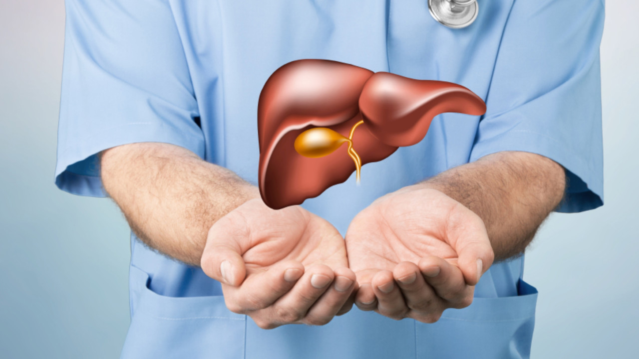 Ayurvedic Medicine for Fatty Liver: Key Herbs and Formulations for Healing