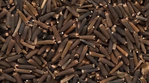 Black Cumin (Kali Jeeri): Benefits,Uses, and Dosage