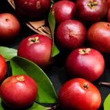 Kokum (Garcinia indica): The Wonder Fruit for Health and Wellness