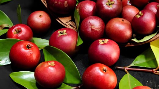 Kokum (Garcinia indica): The Wonder Fruit for Health and Wellness