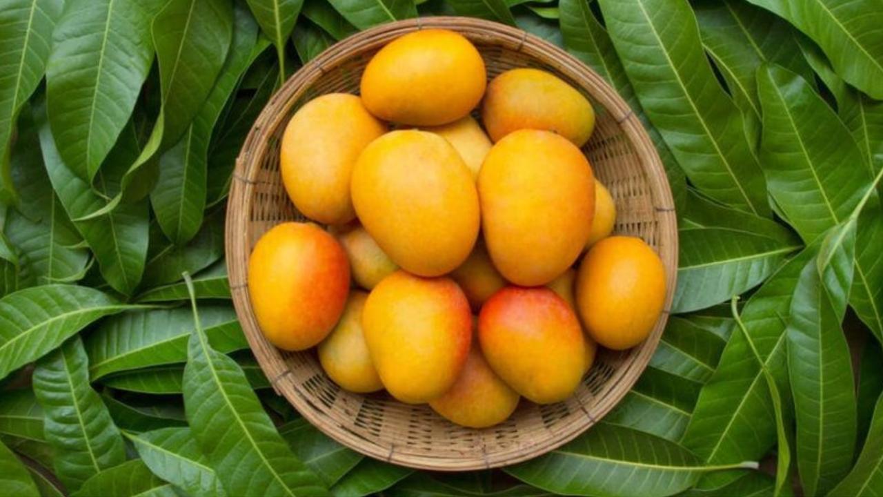 Mango Benefits According to Ayurveda: 10 Reasons to Eat