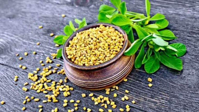 Methi Dana In English: The Benefits Of Fenugreek Seeds Water?