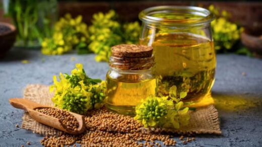 Mustard Oil: Benefits, Uses, and Precautions to Keep in Mind