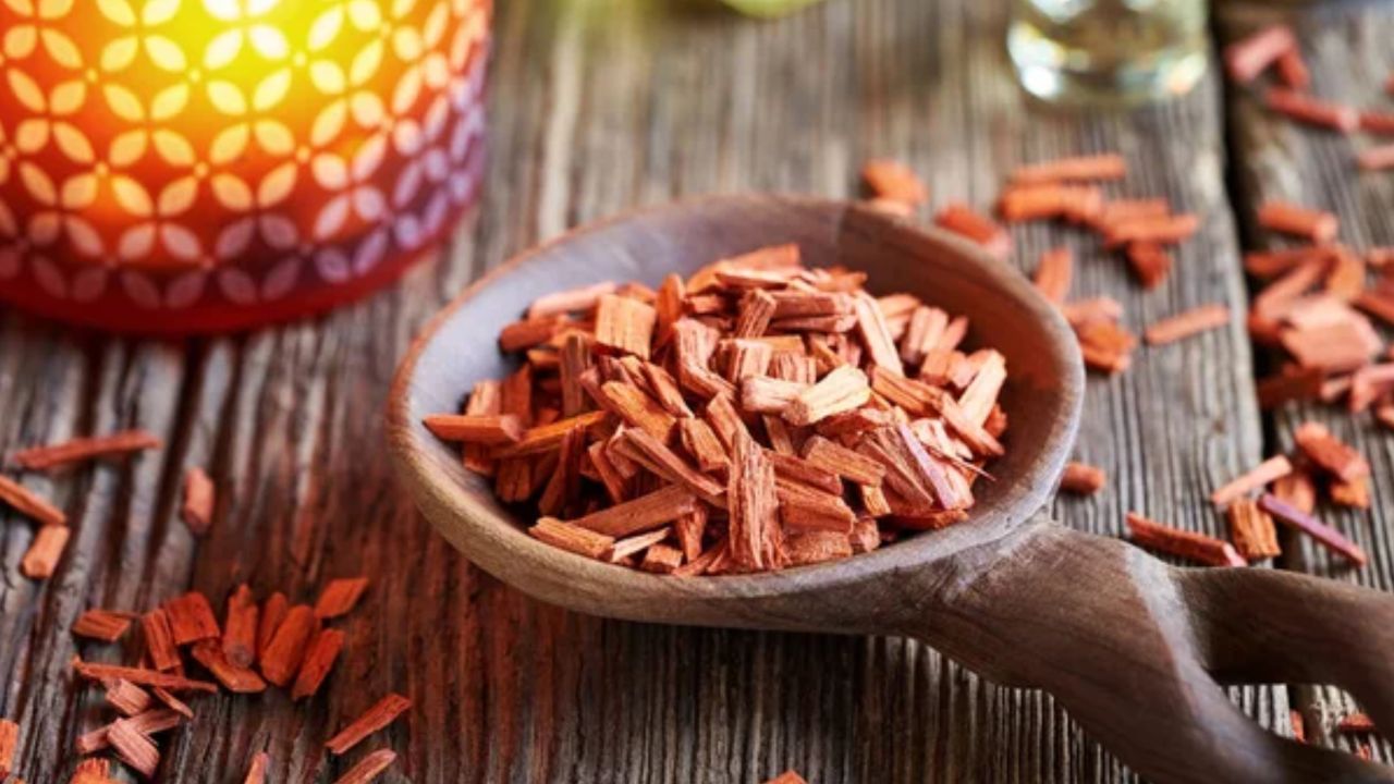 Raktachandan (Red Sandalwood) in Ayurveda: Its Benefits, Uses