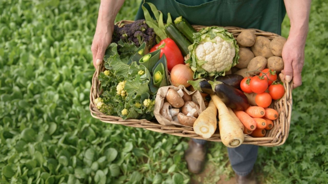 Top 10 Health Benefits of Consuming Organic & Natural Products