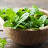 Top 10 Health Benefits of Mint (Pudina) Leaves You Need to Know