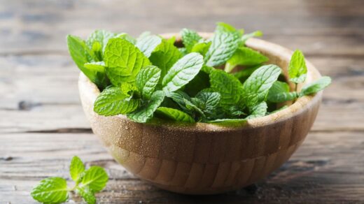 Top 10 Health Benefits of Mint (Pudina) Leaves You Need to Know