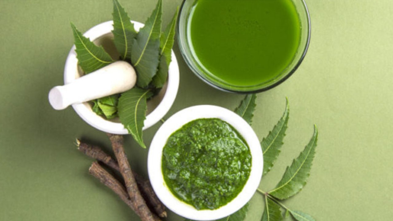 Top 10 Medicinal Uses of Neem: Benefits of Leaves, Oil & Bark