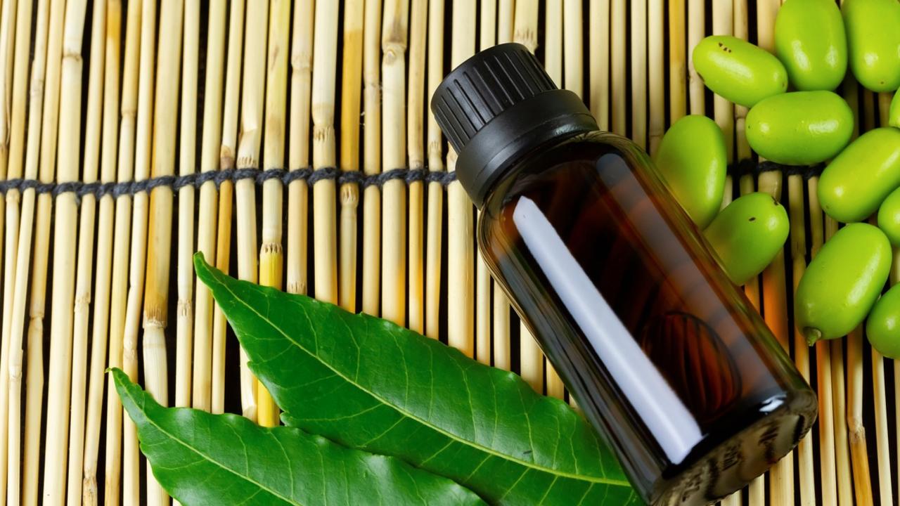 Top 10 Medicinal Uses of Neem Tree, Leaves, Oil in Ayurveda