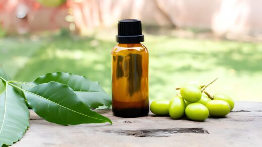 Top 10 Medicinal Uses of Neem for Everyday Health Benefits