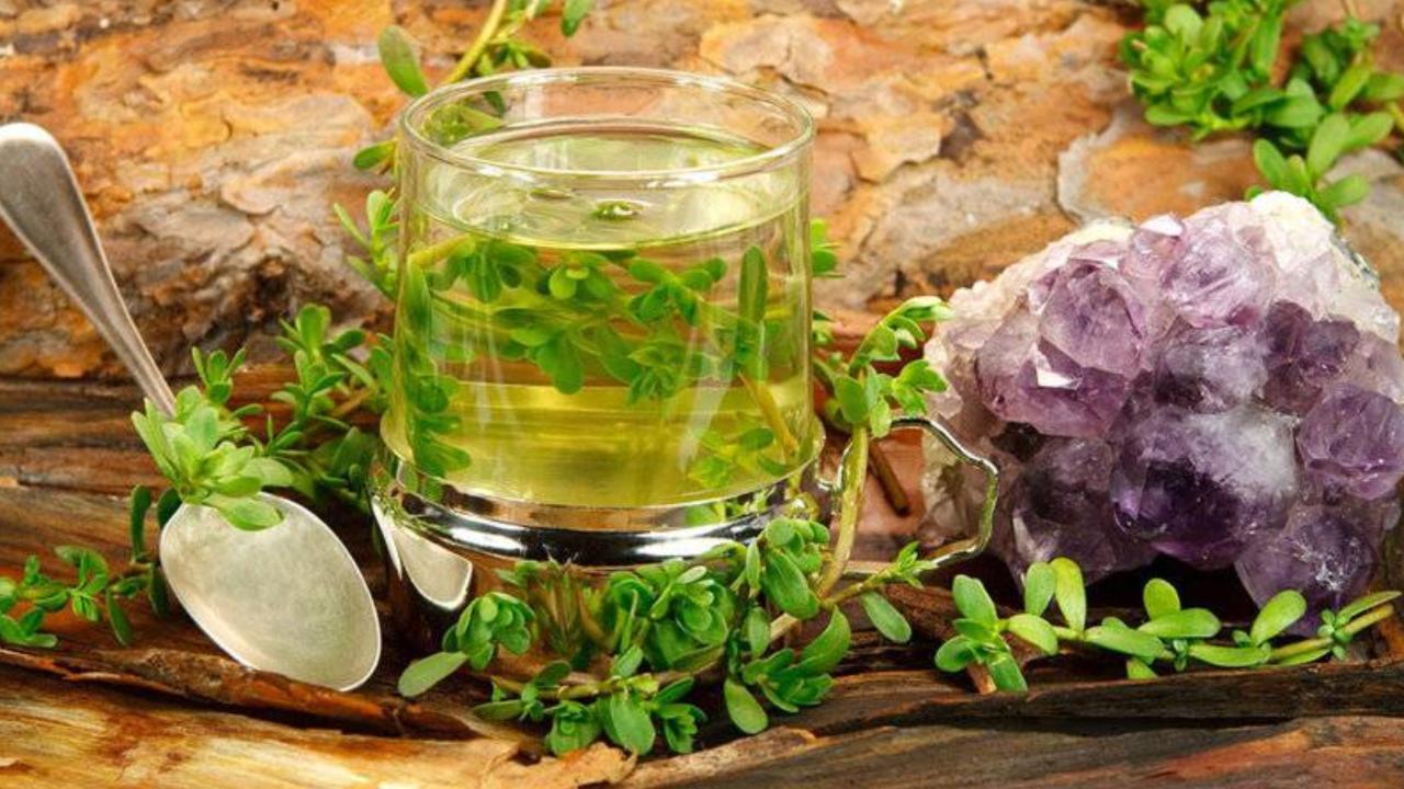 Top 10 Ways Brahmi (Bacopa Monnieri) Can Improve Your Life